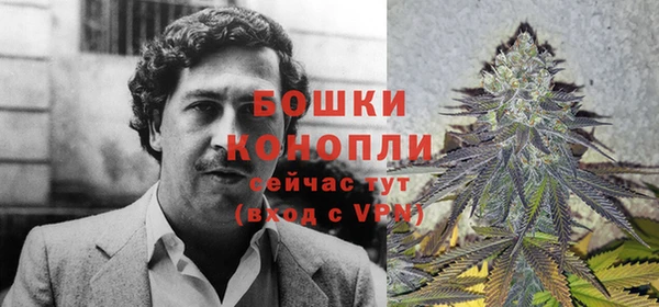 героин Лагань