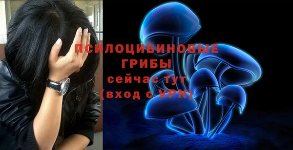 кокаин колумбия Ладушкин