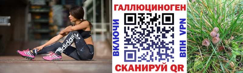 хочу Михайловка МЕГА онион Галлюциногенные грибы прущие грибы